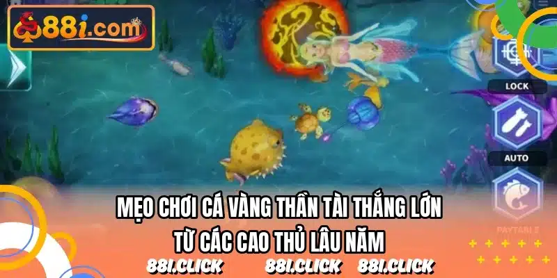 Mẹo chơi cá vàng thần tài thắng lớn từ các cao thủ lâu năm