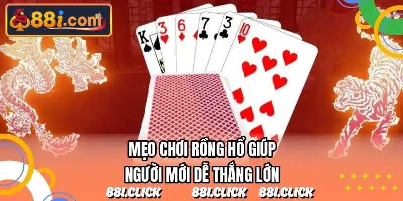 Mẹo chơi rồng hổ giúp người mới dễ thắng lớn