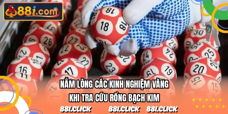 Nằm lòng các kinh nghiệm vàng khi tra cứu rồng bạch kim
