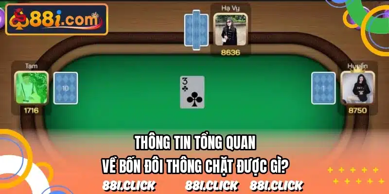 Thông tin tổng quan về bốn đôi thông chặt được gì?