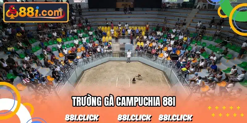 Trường Gà Campuchia
